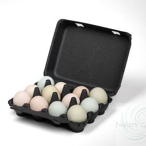 Bantam (Small Eggs) Black Square Paper Pulp Egg Cartons (12 eggs)