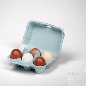 Blue Mist Paper Pulp Chicken Egg Cartons (6 eggs)