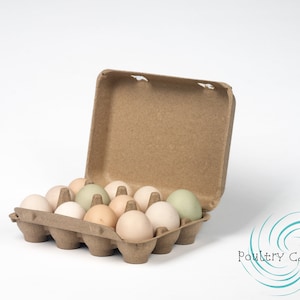 Bantam (Small Eggs) Brown Square Paper Pulp Egg Cartons (12 eggs)