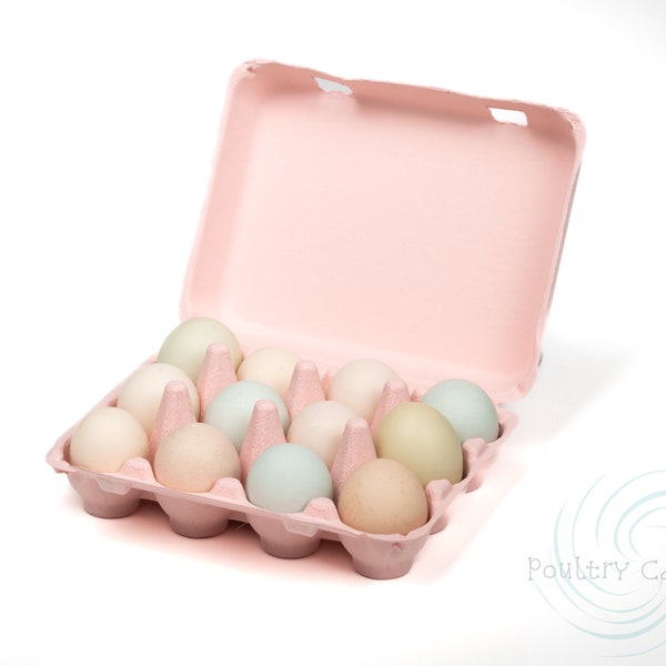 Pink Bantam Square Paper Pulp Chicken Egg Cartons (12 eggs)