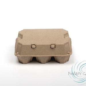 Brown Duck and/or Turkey Egg Cartons (6 eggs)