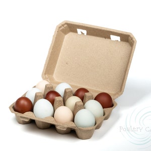 30 Vintage Chicken Egg Cartons