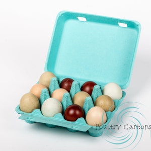 Teal Blue Chicken Egg Cartons