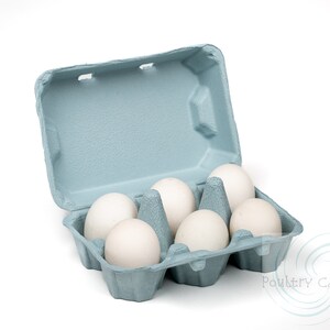 Blue Mist Duck and/or Turkey Egg Cartons (6 eggs)