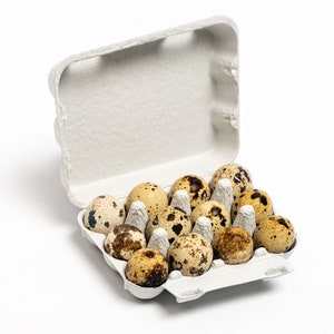 100 Paper Quail Egg Carton (12 eggs)