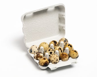 Cartón de huevos de codorniz de papel (12 huevos)