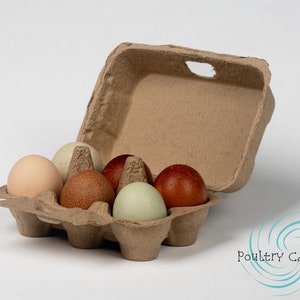 Brown Paper Pulp Chicken Egg Cartons (6 eggs)