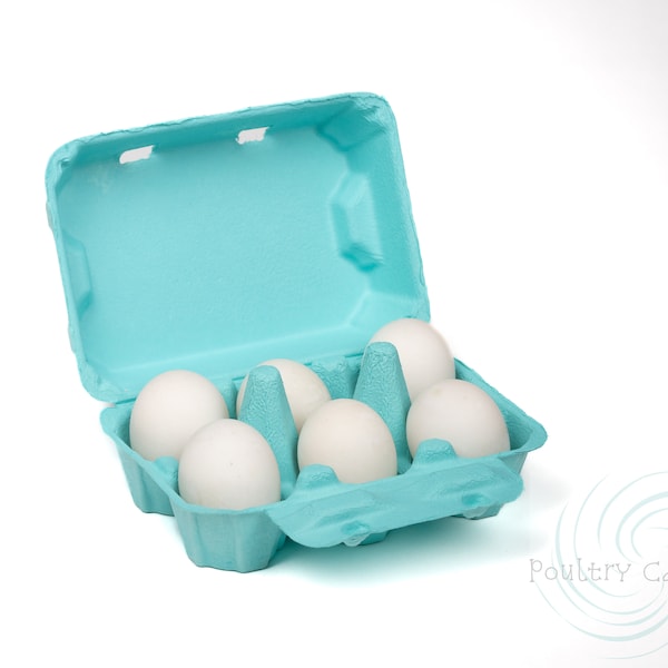 Turquoise Blue Duck and/or Turkey Egg Cartons (6 eggs)