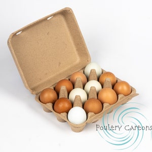 Brown Square Chicken Egg Cartons (12 eggs)