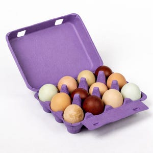 Purple Egg Cartons