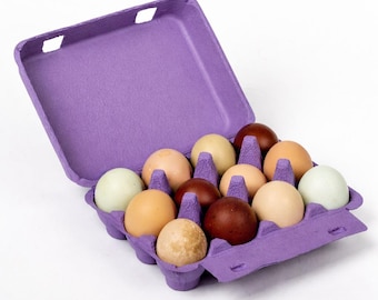 Purple Egg Cartons