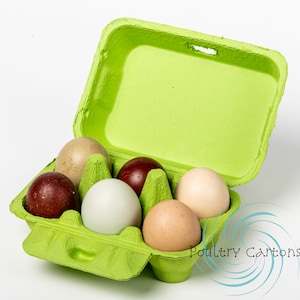 May include: A green six-pack egg carton with six eggs inside. The eggs are various colors including brown, tan, and white. The carton is open and the text 