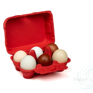 Poppy Red Paper Pulp Chicken Egg Cartons (6 eggs)