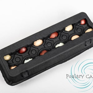 Black Open Top Paper Pulp Chicken Egg Cartons (12 eggs)