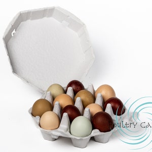 Octagon egg cartons