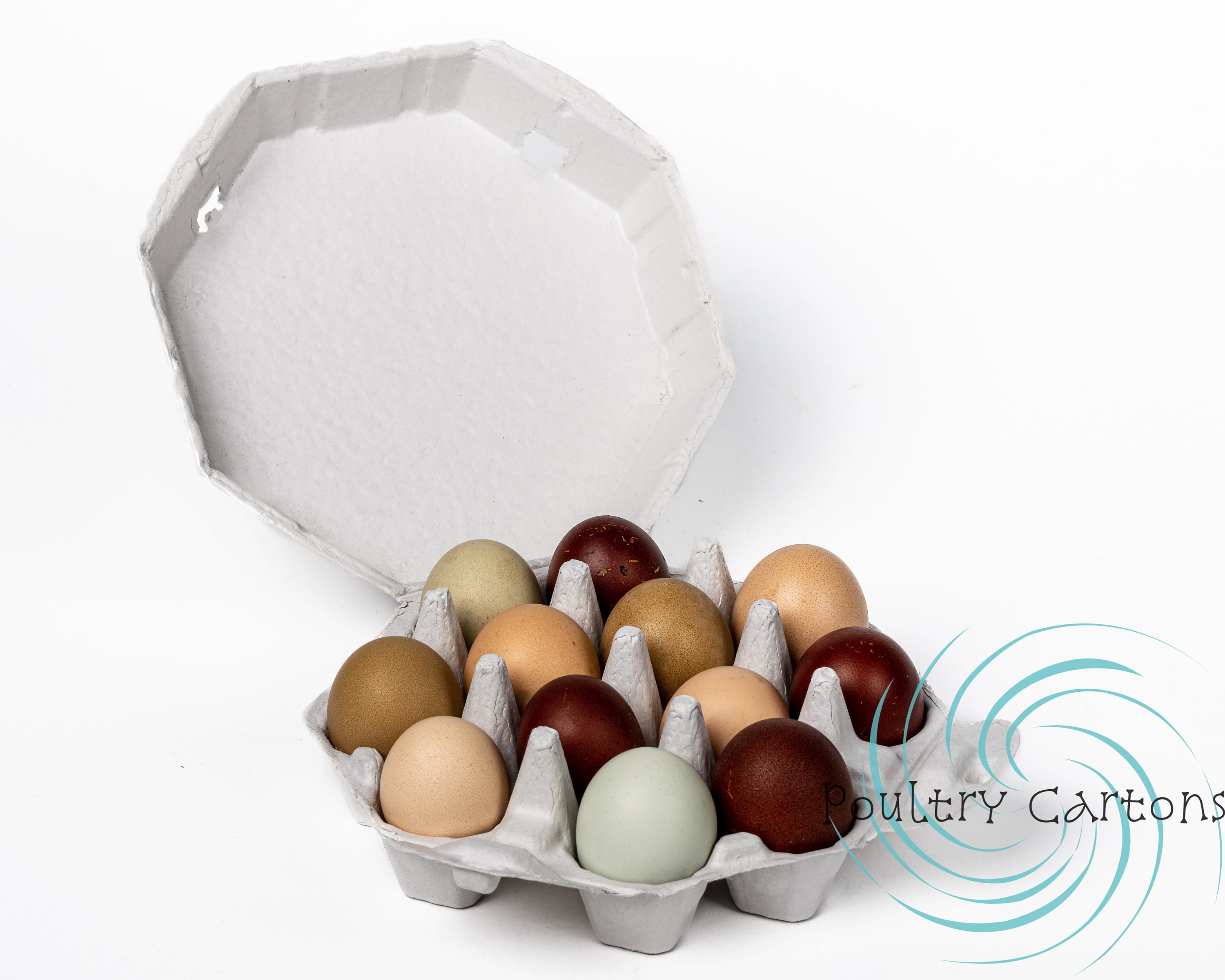 MT Products Blank Natural Pulp Egg Cartons Bulk Holds Up to Twelve Eggs - 1  Dozen - Strong Sturdy Egg Crate Cardboard Material Perfect For Storing