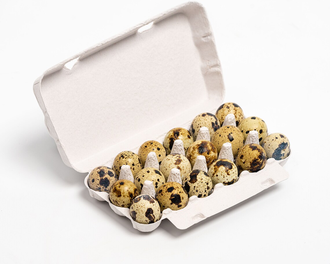 50 Paper Quail Egg Carton 18 Eggs Etsy