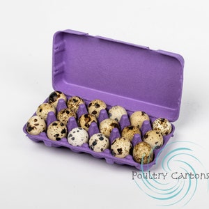 Purple Square Paper Pulp Chicken Egg Cartons (12 eggs)
