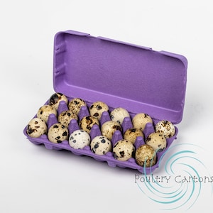 Purple Paper Pulp Quail Egg Cartons (18 eggs)