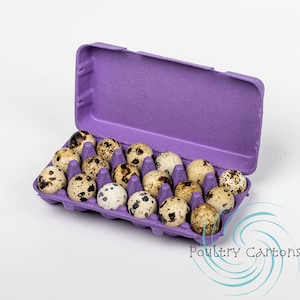 Purple Square Paper Pulp Chicken Egg Cartons (12 eggs)