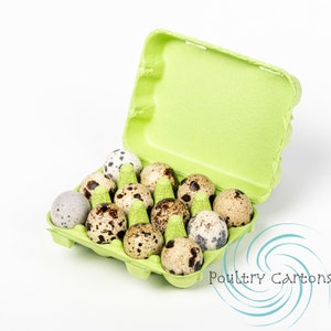 Green Paper Pulp Quail Egg Cartons (12 eggs)