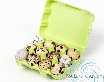 Cartones de huevos de codorniz de pulpa de papel verde (12 huevos)