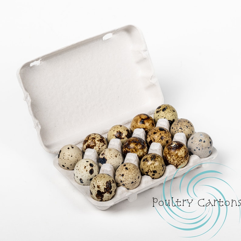 Paper Pulp Quail Egg Cartons 15 Eggs Etsy