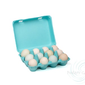 Bantam (Small Eggs) Turquoise Blue Square Paper Pulp Egg Cartons (12 eggs)
