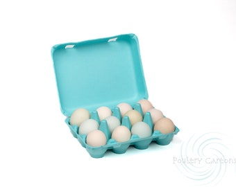 Turquoise Blue Bantam Square Paper Pulp Chicken Egg Cartons (12 eggs)