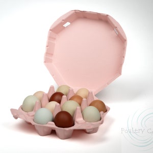 Pink Octagon Egg Cartons