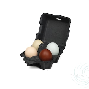 Black Paper Pulp Chicken Egg Cartons (4 eggs)