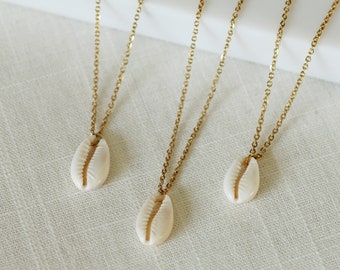 Kauri-Muschel Kette Gold / Silber Minimalistisch, Muschel Schmuck, Halskette mit kleinem Anhänger, Naturschmuck, Strandschmuck, Boho Chic