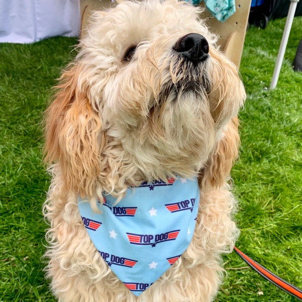 Top Dog bandana/cute dog bandana/reversible bandana/snap on bandana/funny bandana/dog accessories/pet wear/best dog bandana