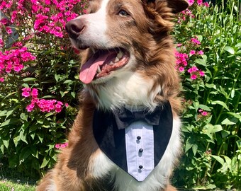 Pet Tuxedo Bandana / Pet Formal Wear / Dog wedding attire / Dog Tuxedo / Fancy Bandana / Pet Wear / Formal Dog Bandana / Dog wedding wear