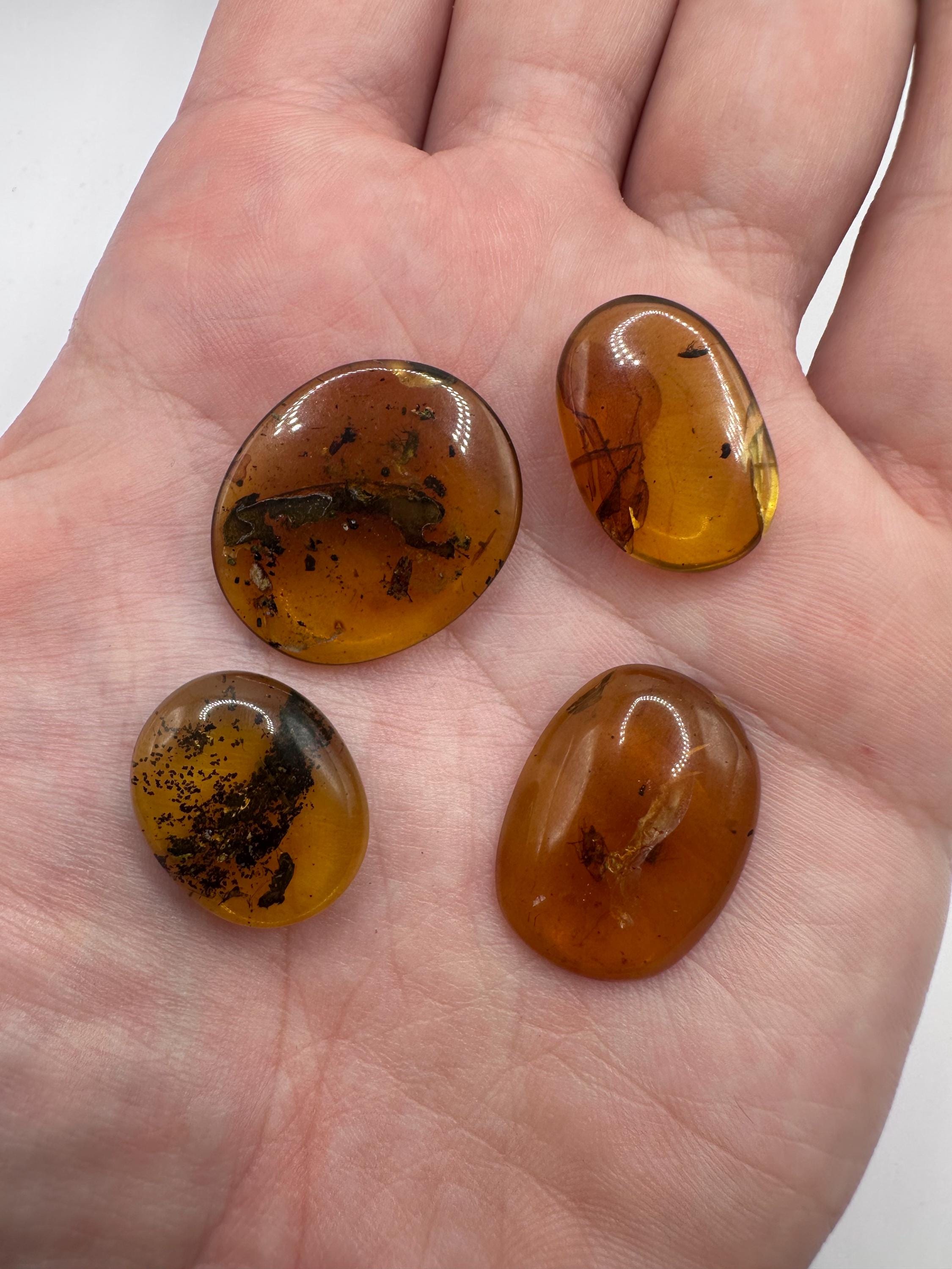 Amber With Insect - Etsy