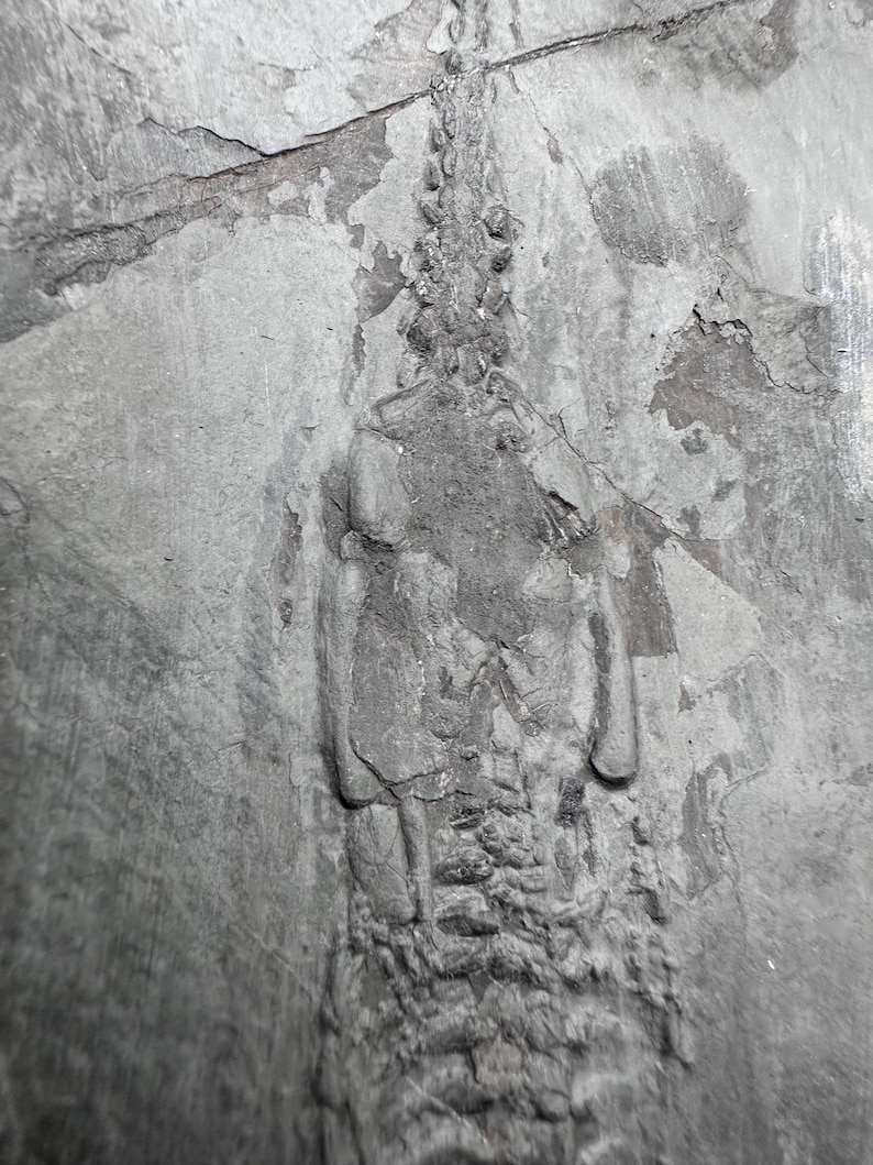 May include: A weathered, gray stone carving of a figure with a cloak and legs. The carving is set into a rough, textured wall. The figure's form is defined by the play of light and shadow on the stone's surface.