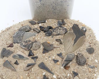 Fossil Dig Kit 75+ Fossils/Fossil Shark Teeth + Large Megalodon Tooth Fragment - Fossil & Shark Teeth Sifting Kit - Fossil Mining Bucket
