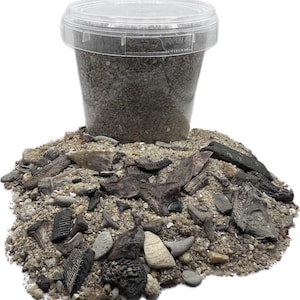 May include: A clear plastic container filled with a mixture of sand, small pebbles, and various dark, fossilized fragments including shark teeth and bone pieces. The container has a transparent lid with the word OPEN embossed on the rim.