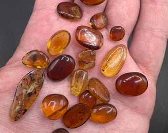 Genuine Fossil Amber with Insects - Lot of 19 Natural Fossilized Amber Insect - Cretaceous era Amber - Fossil Bug in Amber - Amber With Bugs