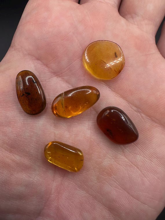 本物の化石琥珀（昆虫入り） - 天然化石琥珀昆虫5個セット - 白亜紀