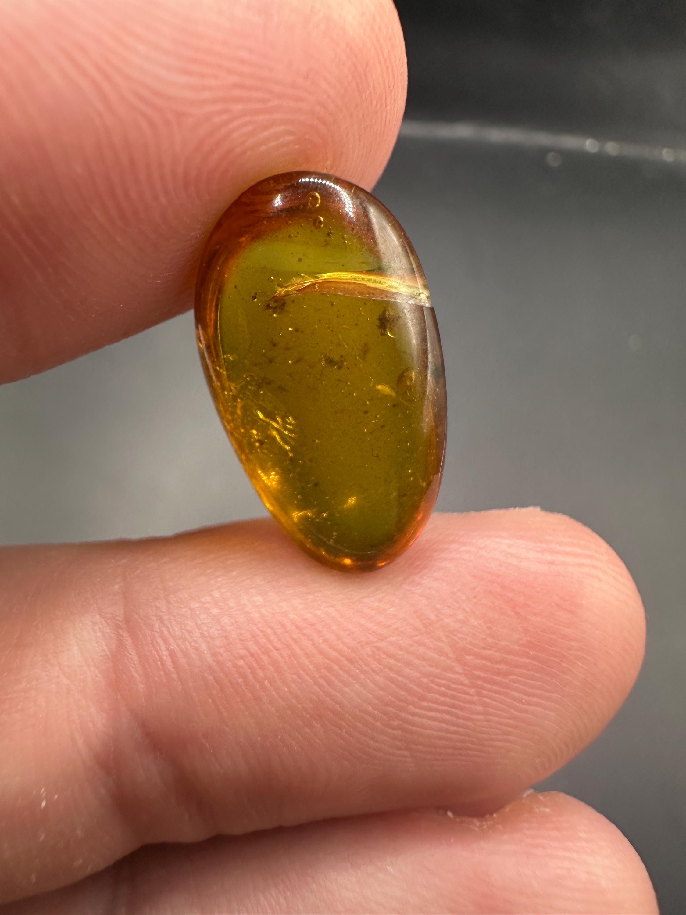 本物の化石琥珀（昆虫入り） - 天然化石琥珀昆虫5個セット - 白亜紀