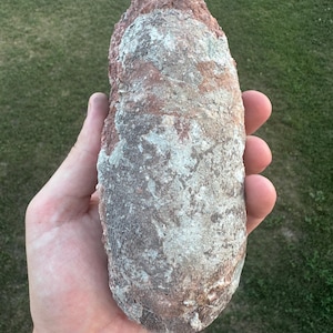 Könnte beinhalten: Ein länglicher, oval geformter Stein mit einer rauen, strukturierten Oberfläche. Der Stein weist eine gesprenkelte Farbpalette aus erdigem Rotbraun, gedämpftem Grau und cremeweißen Flecken auf und zeigt ein natürliches, verwittertes Aussehen.