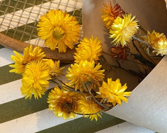 Fleurs séchées immortelles jaunes