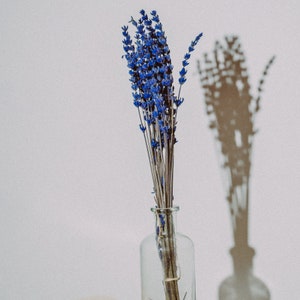 Dried flowers, bouquet of blue preserved lavender