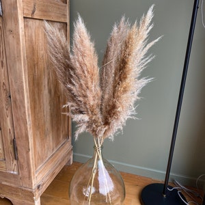 Pampas, pampas, dried flowers, wedding decoration
