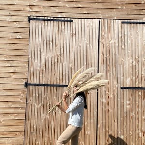 Pampas grass, Dried flowers, large pampas grass, natural pampas from France image 10