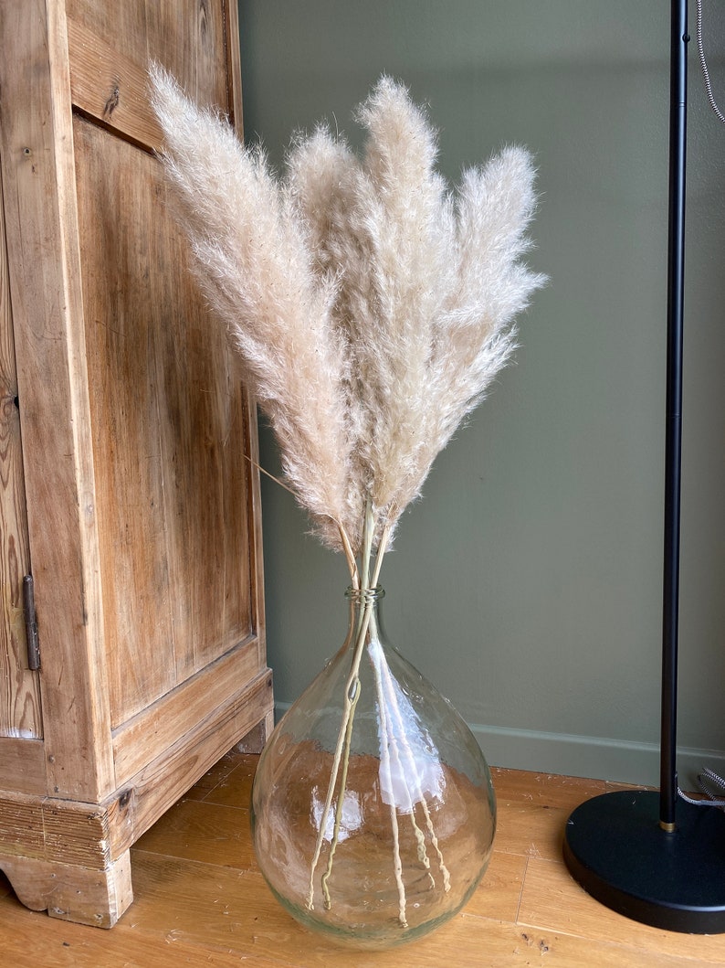 Herbe de pampa, Fleurs séchées, grande herbes de pampas, Pampa naturelle de France image 3