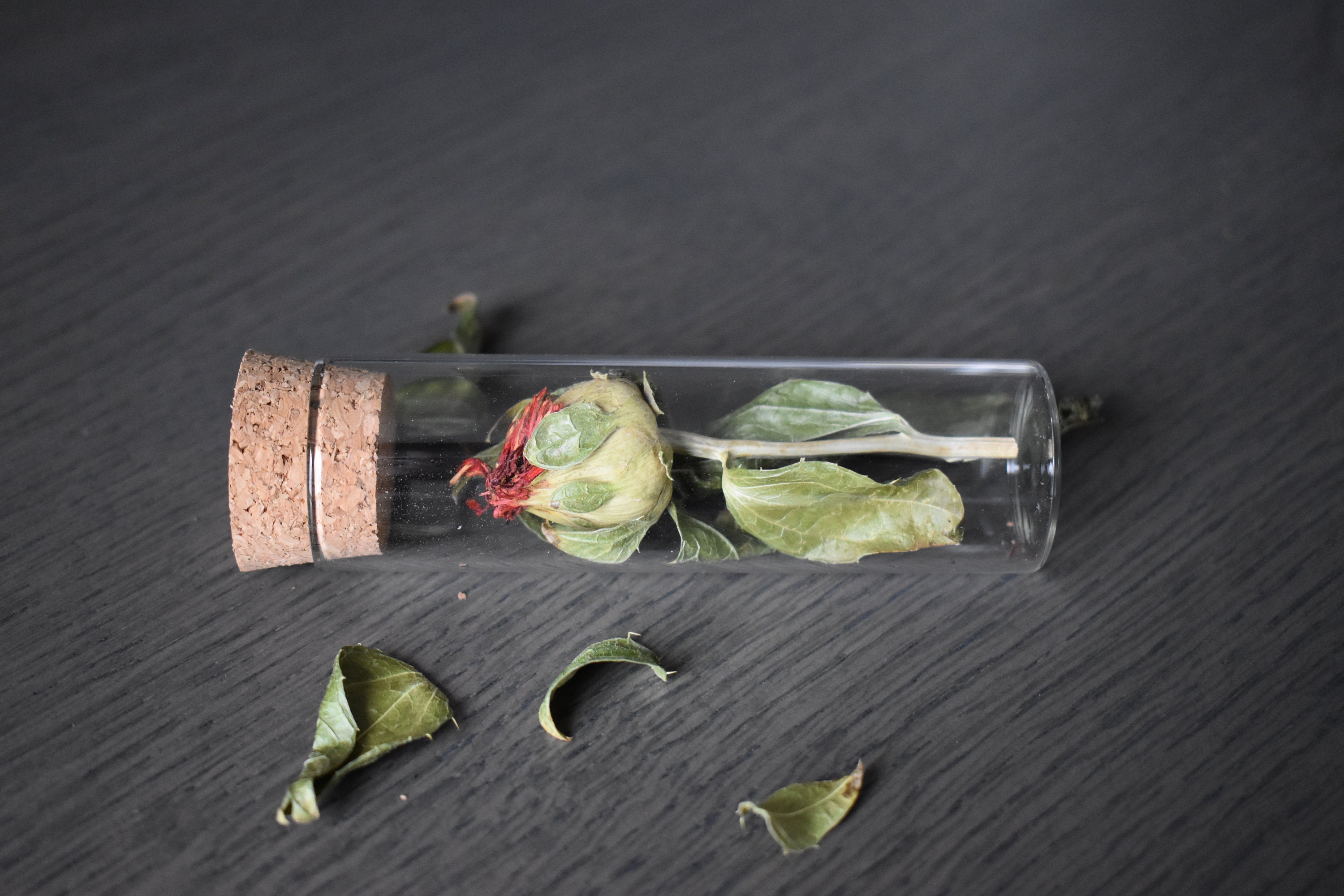 Fiole en Verre de Fleur Séchée Carthamus, Idéal Pour Une Décoration Table