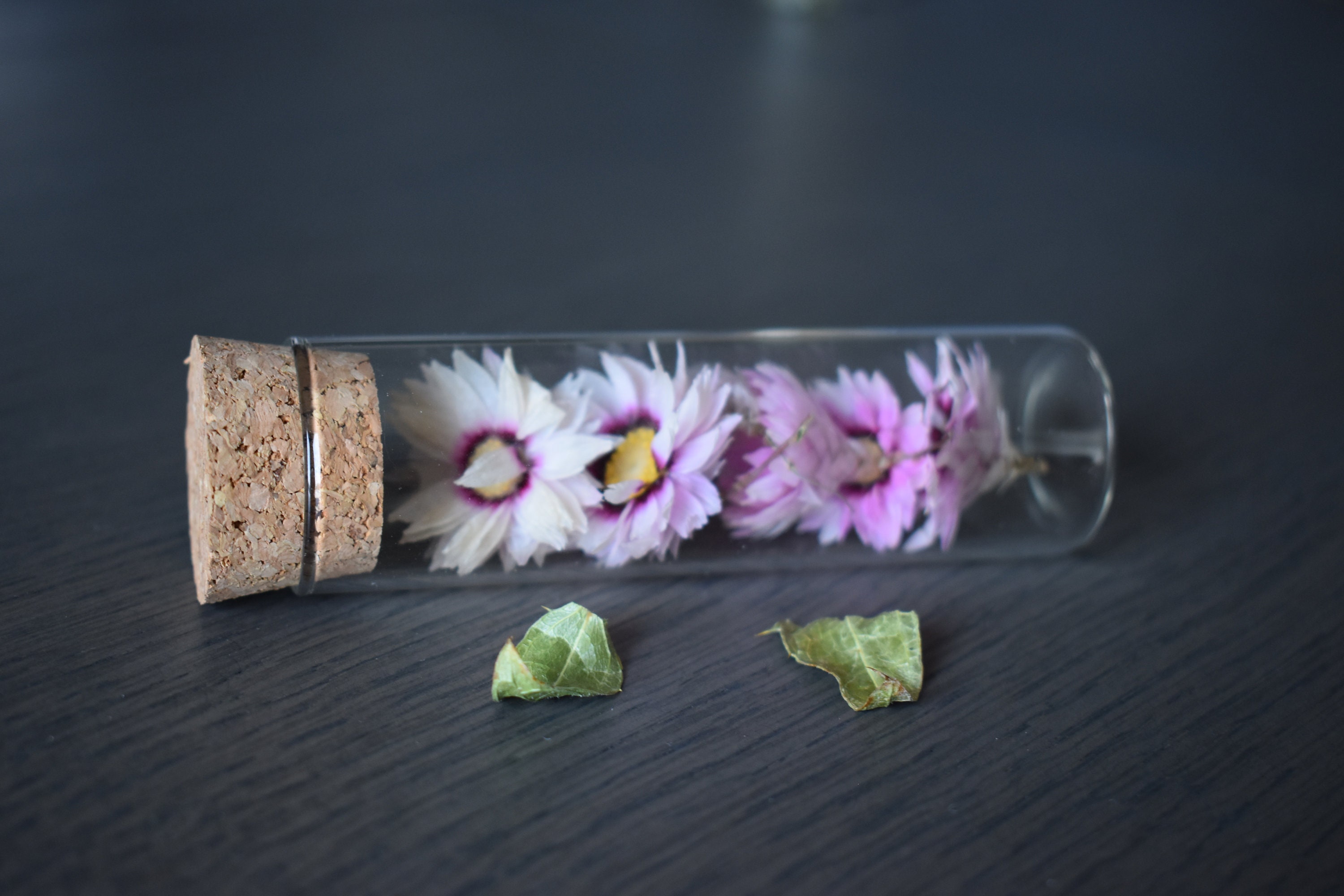 Fleurs Séchées Mise en Cage de Verre