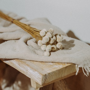 Dried flowers, white botao